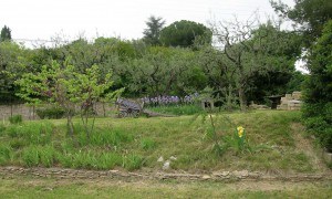 huile_olive_charette_bleue